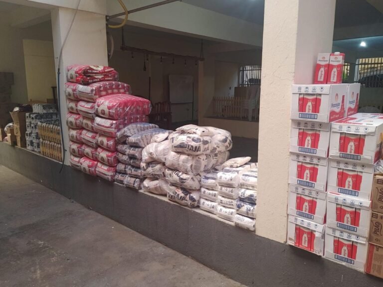projeto alimentar (18)