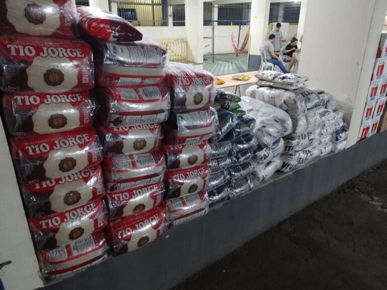 projeto alimentar (19)