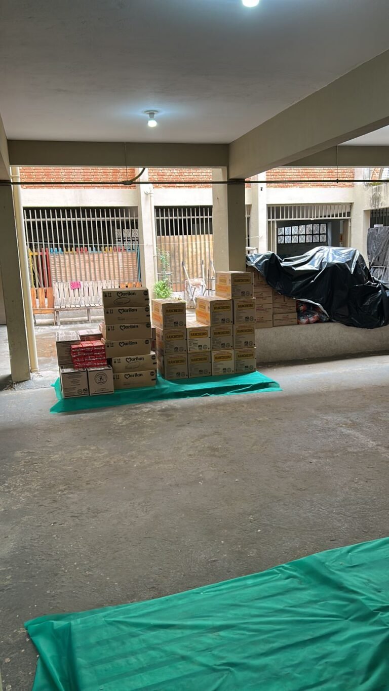 projeto alimentar (5)